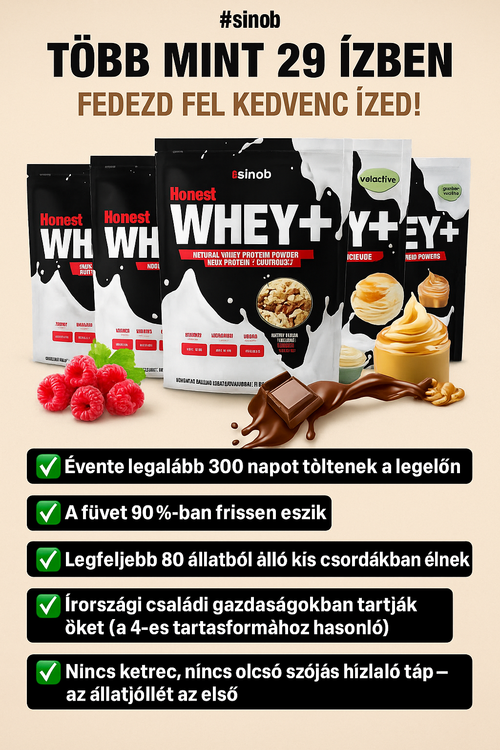 Sinob Honest Whey+ Protein 450g/820g/1000g