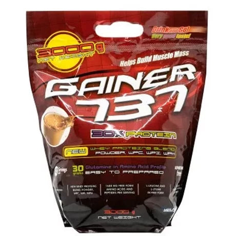 Gainer 737 3000g - Megabol